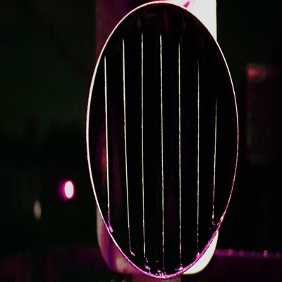 dashin Front Cover