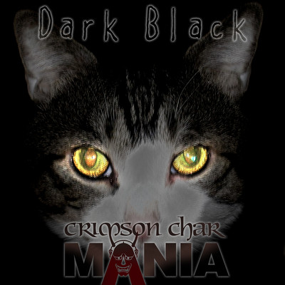 Dark Black Front Cover