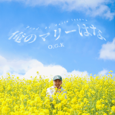 俺のマリーはなのジャケット写真