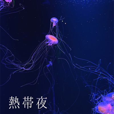 熱帯夜のジャケット写真