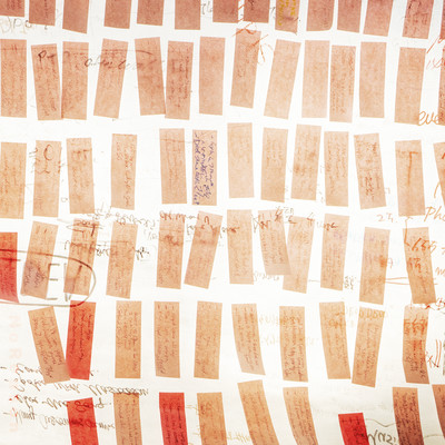 No Reasonのジャケット写真