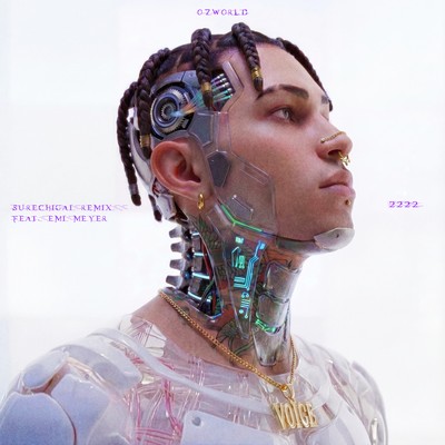 SURECHIGAI / 2222 (SURECHIGAI REMIX_2222)のジャケット写真