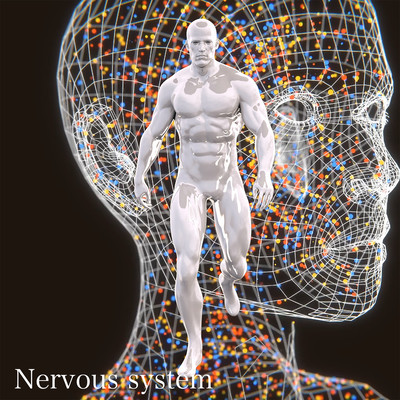 Nervous system (Rearranged)のジャケット写真