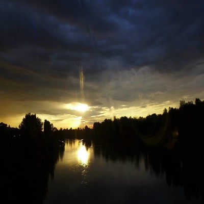 サユリのジャケット写真