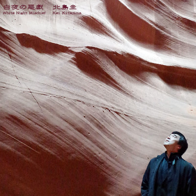 White Night Mischief Front Cover