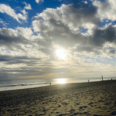 Free Flight (feat. TD)のジャケット写真