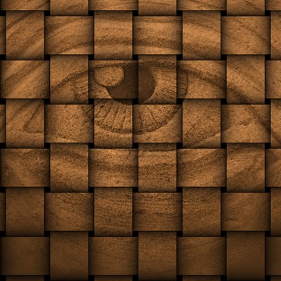 Everybody's Rhythm Front Cover