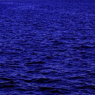 VIVA! NIPPON evolution Front Cover