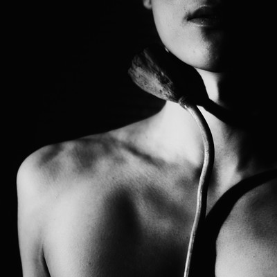 Monologue Front Cover