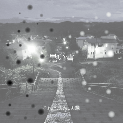 黒い雪のジャケット写真