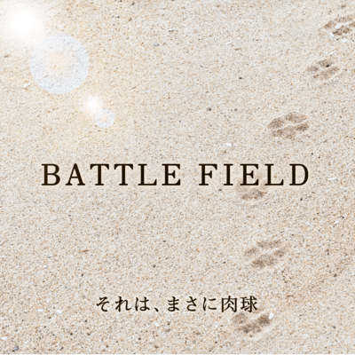 BATTLE FIELDのジャケット写真