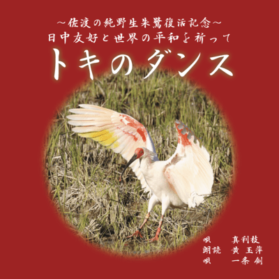 Toki's dance Front Cover