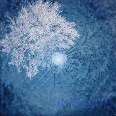 ANEMONEのジャケット写真