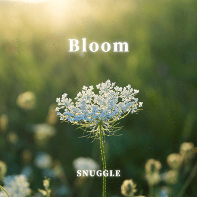 Bloomのジャケット写真