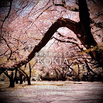 Late blooming Cherry blossoms Front Cover