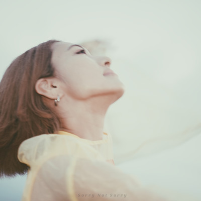 Sorry Not Sorryのジャケット写真