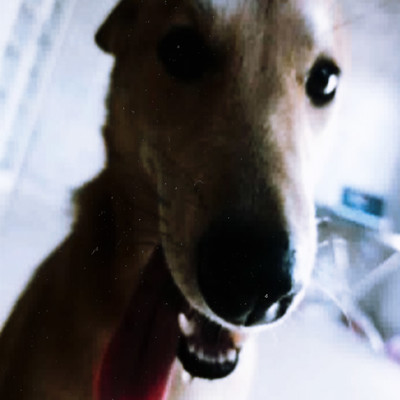 Thirstのジャケット写真