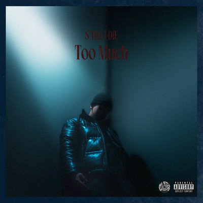 Too Muchのジャケット写真