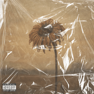 The Fading Hue of Love Front Cover