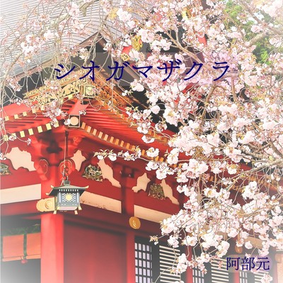 SHIOGAMAZAKURA Front Cover