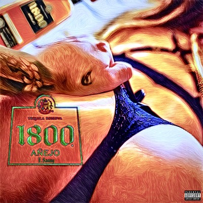 ANEJO Front Cover