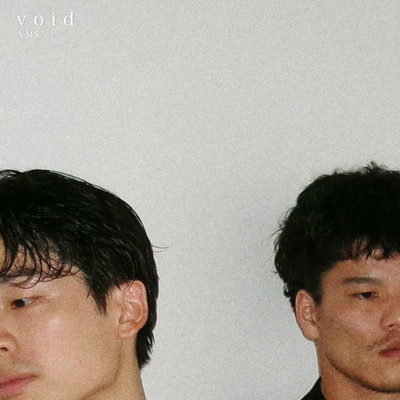 Voidのジャケット写真