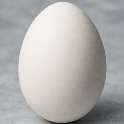 Egg Front Cover