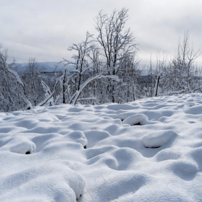 study music Front Cover