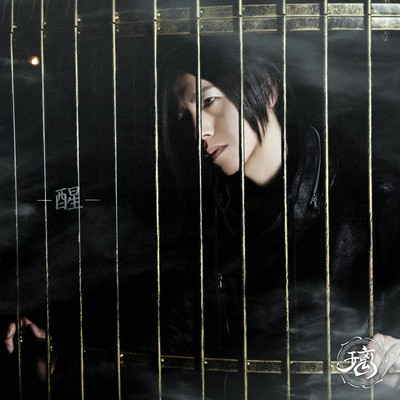 醒のジャケット写真