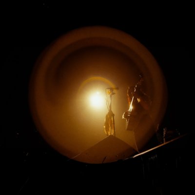 to be a bird (Live at Shibuya WWW, 2025)のジャケット写真