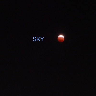 SKYのジャケット写真