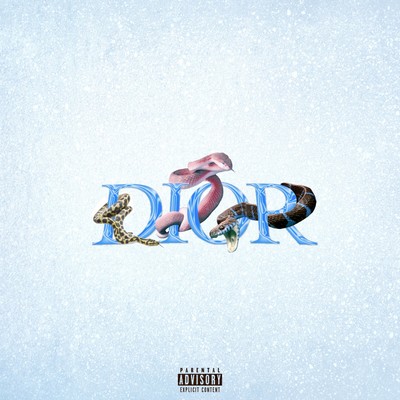 DIOR Front Cover