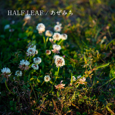 footpath Front Cover