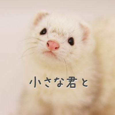 小さな君とのジャケット写真