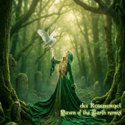 Dawn of the Earth (remix)のジャケット写真