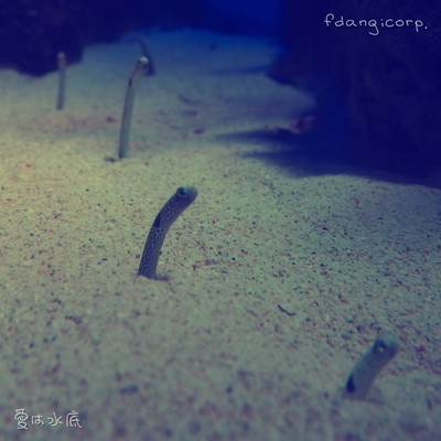 愛は水底のジャケット写真