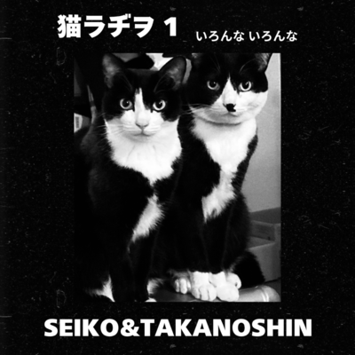 猫ラヂヲ1のジャケット写真