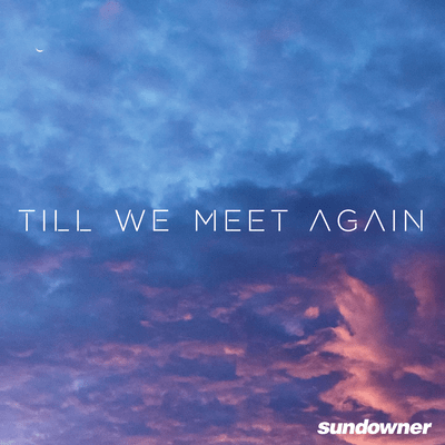Till We Meet Again (feat. mii) Front Cover