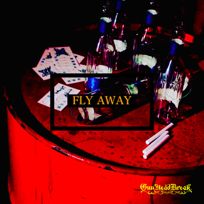 FLY AWAY Front Cover