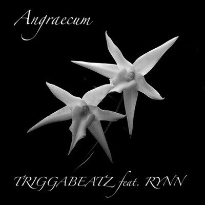 Angraecum (feat. RYNN) Front Cover