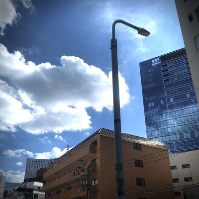 emotionless summerのジャケット写真