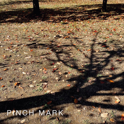 PINCH MARKのジャケット写真