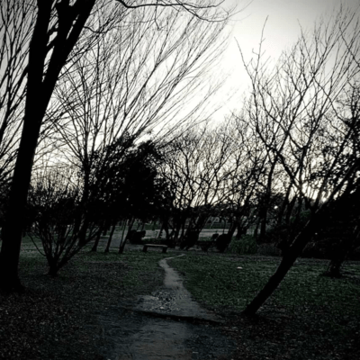 archives Front Cover