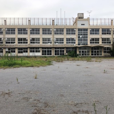 flash backのジャケット写真