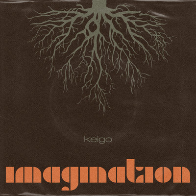 Imaginationのジャケット写真