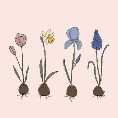 続きのジャケット写真