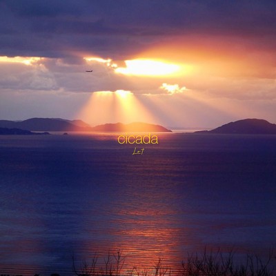 cicadaのジャケット写真