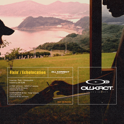 Fixin' / Echolocation Front Cover