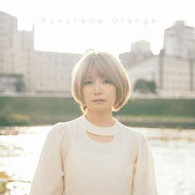 Panorama Orange Front Cover