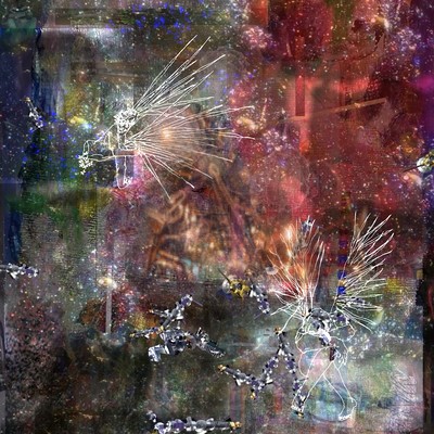 hoshiのジャケット写真